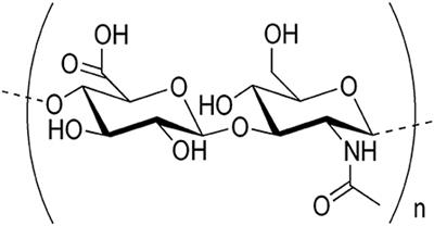 Hyaluronic Acid: Molecular Mechanisms and Therapeutic Trajectory